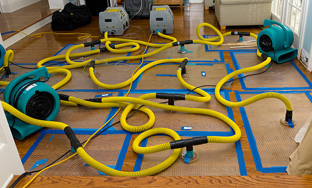 Professional Storm Water Damage Restoration technician working in Moonachie, NJ